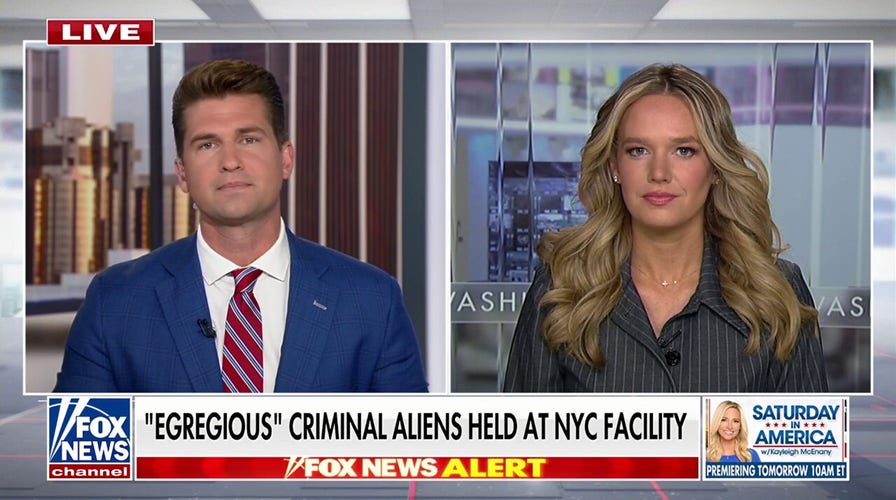 Tricia McLaughlin slams Democrats for protecting MS-13 gang members, drug traffickers: ‘It’s pretty despicable’
