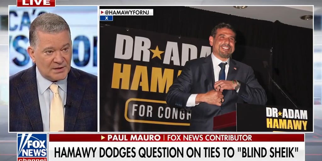 Paul Mauro questions NJ Dem candidate Hamawy's ties to 'Blind Sheikh'