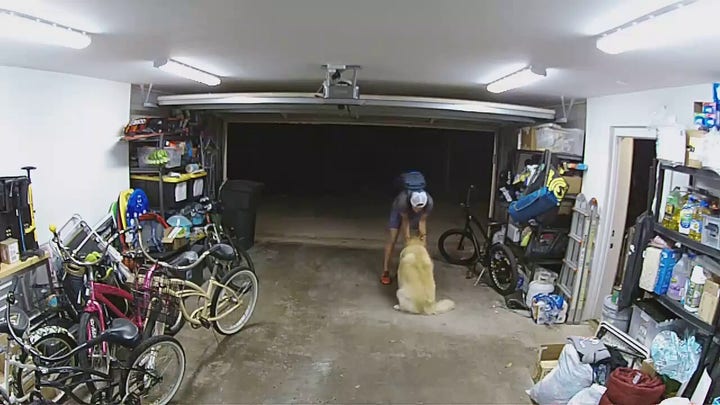 Burglar takes break from robbing home to cozy up with overly friendly family dog