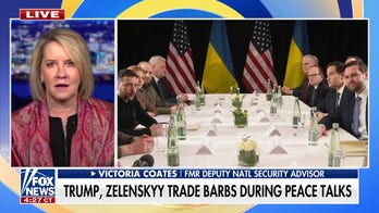 Ukraine's Zelenskyy allowed Biden admin to 'politicize' him, expert says