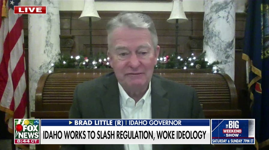 Idaho was 'DOGE before DOGE existed,' Gov. Brad Little says