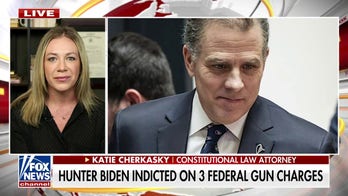 Hunter Biden's attorneys blames 'MAGA crazies' for indictment