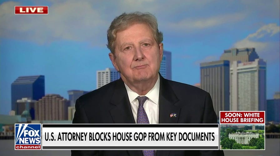 Washington establishment is ‘working harder than an ugly stripper’ to cover up for the Biden family: Sen. John Kennedy 