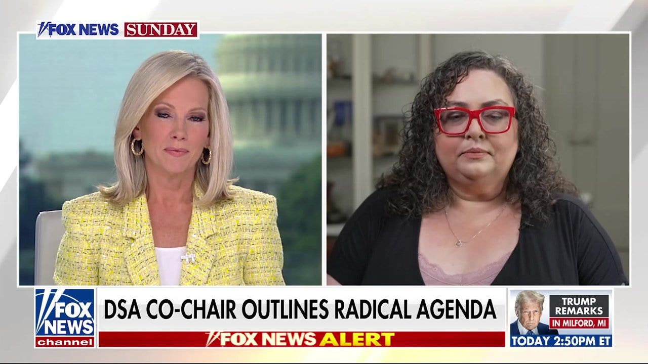 59% of Democrats view DSA favorably: Poll