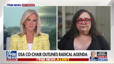 59% of Democrats view DSA favorably: Poll