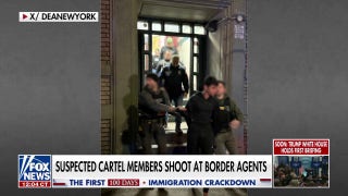 Tren de Aragua suspect apprehended by ICE - Fox News