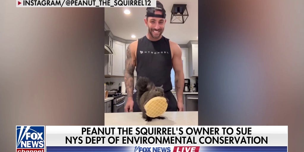 Peanut the squirrel’s owner to sue NY environmental agency over pet’s death