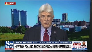 ‘Rogue’ DA indictment will ‘help’ Trump in the long term: Roger Williams - Fox News
