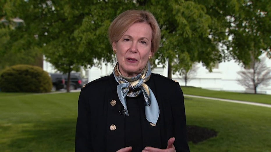 Dr. Deborah Birx says Trump meant no harm with disinfectant comments