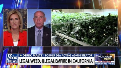 We have 'no idea' about long-term effects of Chinese pesticides at Cali pot grows: Ex-DEA chief