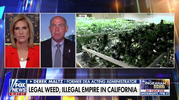 We have 'no idea' about long-term effects of Chinese pesticides at Cali pot grows: Ex-DEA chief