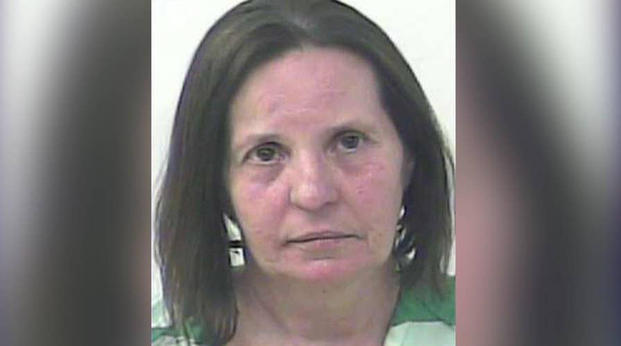 Hit-and-run suspect snitched on by her car