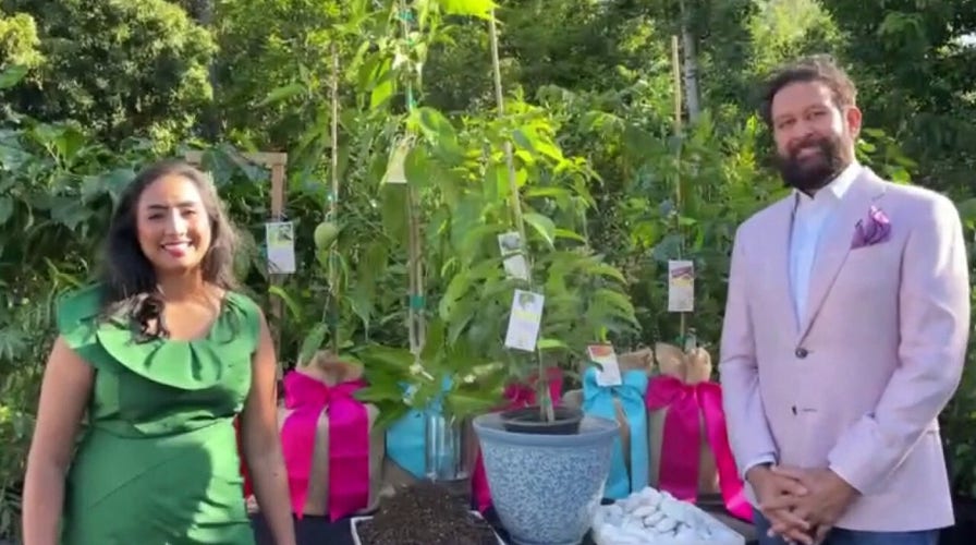 Give the gift of a plant or garden for Mother’s Day 