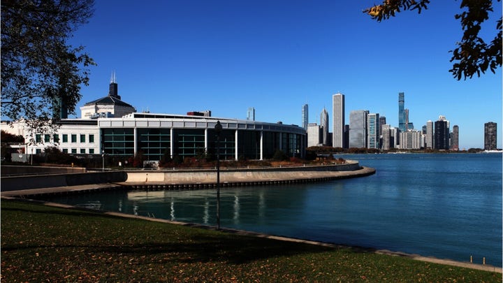 Chicago aquarium allows penguins to roam free during coronavirus closure, documents 'field trip' online