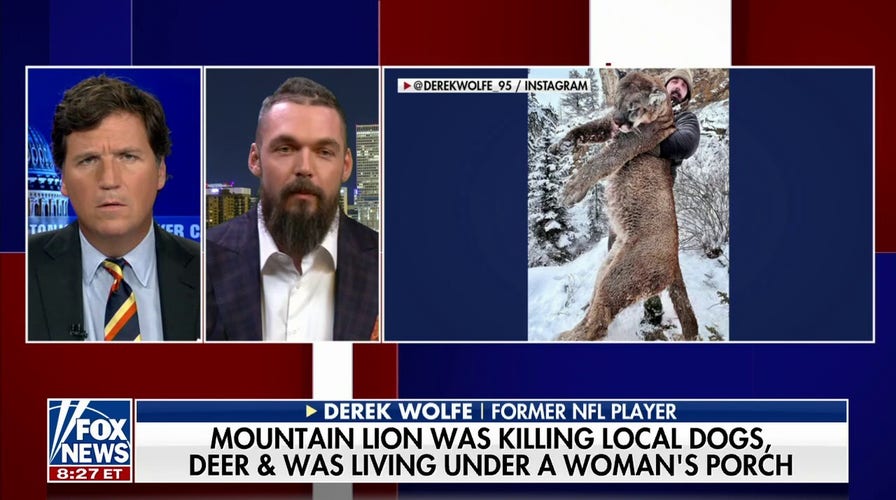  Ex-football player Derek Wolfe kills menacing mountain lion with bow and arrow 