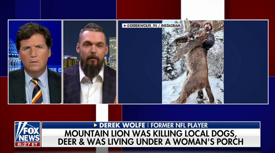  Ex-football player Derek Wolfe kills menacing mountain lion with bow and arrow 