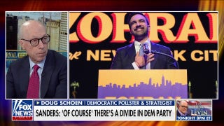 Mamdani's win and the Democratic divide