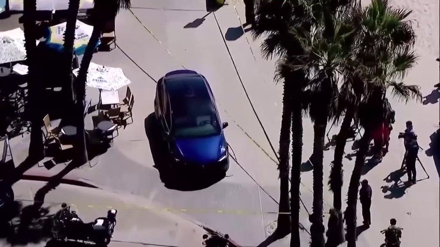 Citizens chase, apprehend suspected Tesla thief who allegedly barreled through pedestrians
