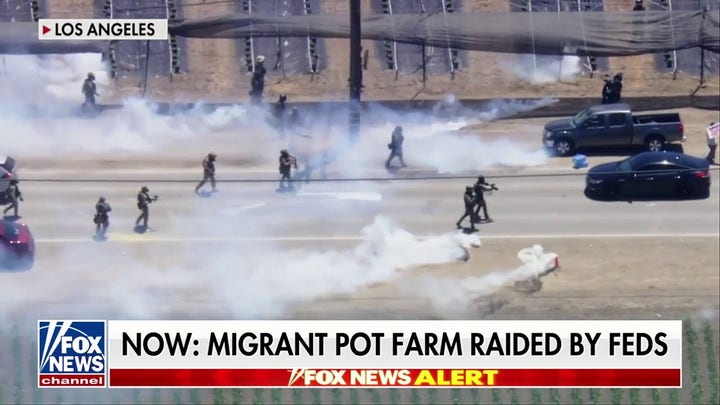 BREAKING: Migrant marijuana farm raided by feds