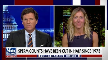 We live in an environment that is 'toxic' to reproductive health: Dr. Carmen Messerlian