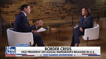  Kamala Harris pressed on the border: 'Our focus has been on fixing a problem'