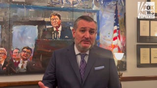 Cruz questions whether number of helicopter flights around DCA is wise policy - Fox News