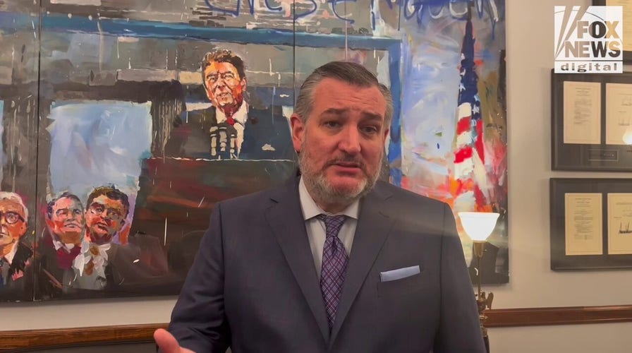 Cruz questions whether number of helicopter flights around DCA is wise policy