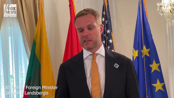 Lithuanian Foreign Minister Gabrielius Landsbergis says NATO must act to stop Putin