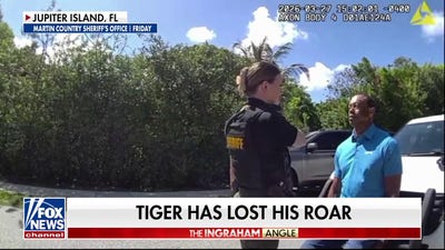 Michele Tafoya on Tiger Woodsâ arrest: âHe needs helpâ