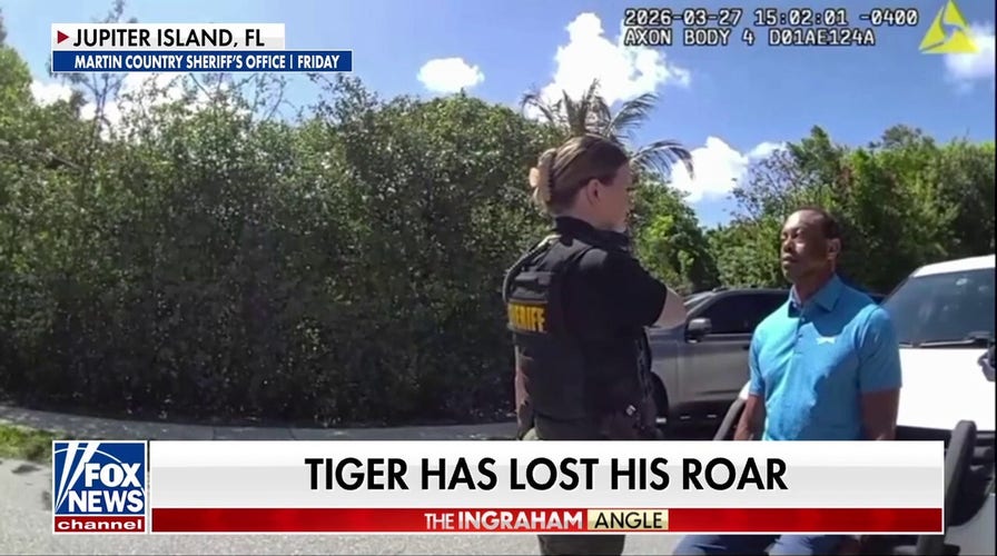 Michele Tafoya on Tiger Woods’ arrest: ‘He needs help’