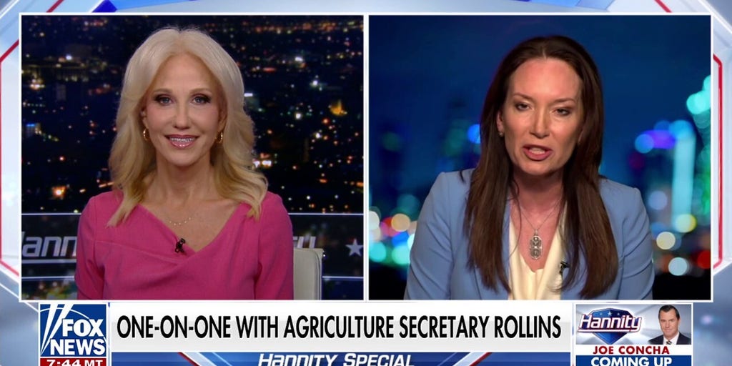 We’re ensuring that everything Americans need is ‘affordable again,’ says Agriculture Secretary Brooke Rollins