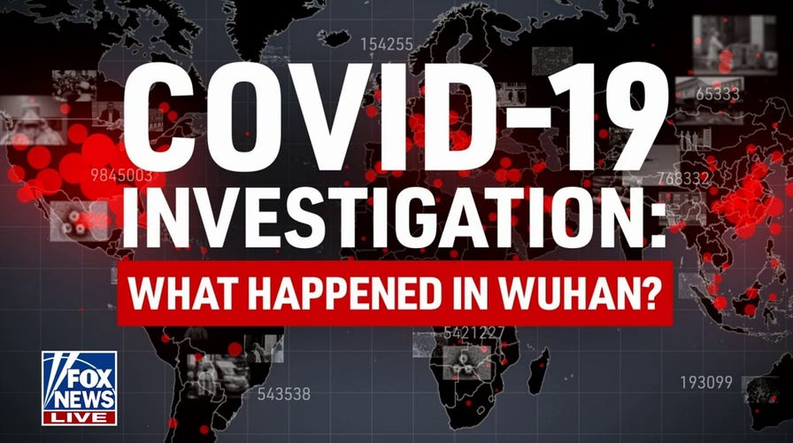 What happened to the COVID-19 origins investigation?