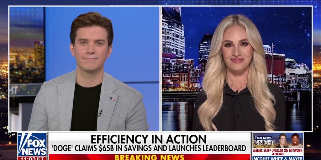 Dems don’t like the idea of a smaller government: Tomi Lahren
