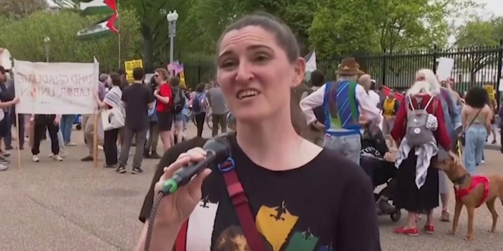 Anti-Trump protesters turn out to rallies in Washington DC, across country