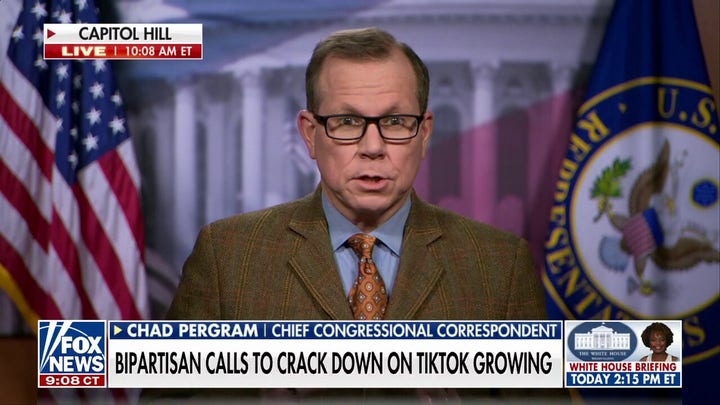 Bipartisan calls to crack down on TikTok growing