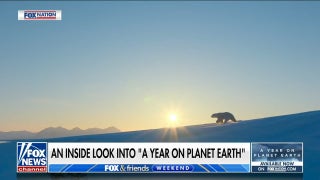 'A Year on Planet Earth' provides inside look into king penguin story - Fox News