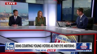 Political strategist warns Dems working to unite despite having 'no power'
