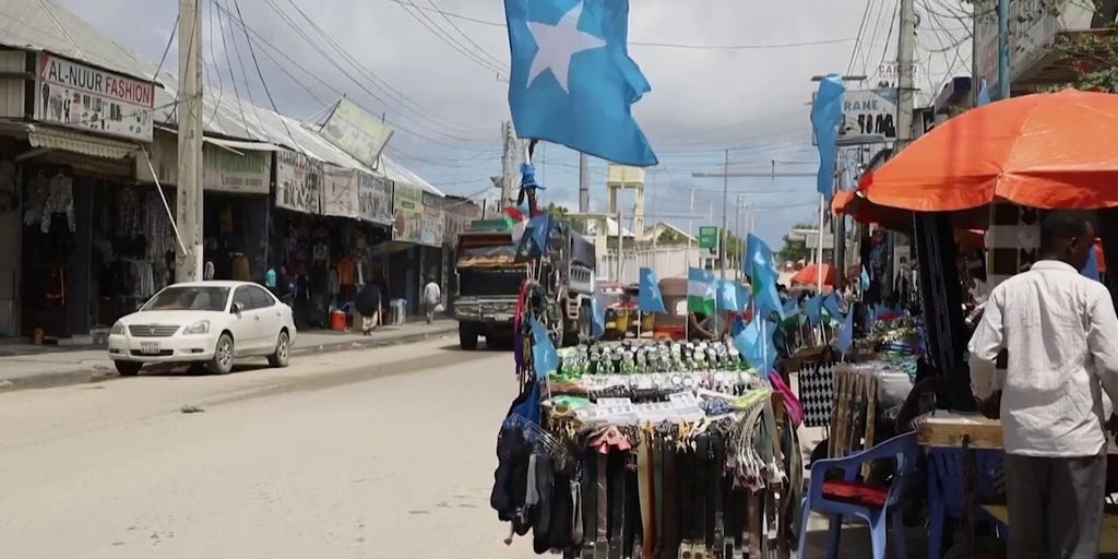 Somali terror groups loom as Mogadishu powers new growth
