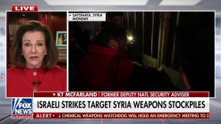 ‘Critical’ to secure Syria’s chemical weapons amid fall of Assad regime, KT McFarland says - Fox News