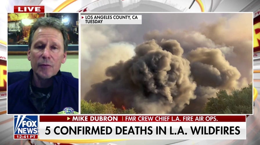LA wildfires will 'go down in history' as among the most expensive fires ever, says firefighting expert