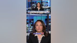 EXPOSED: Foreign influence behind anti-ICE protests