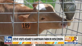 Steve Doocy tours Wisconsin dairy farm - Fox News