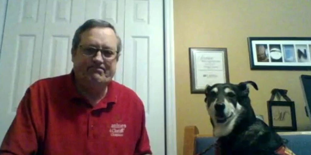 fox news spike service dog