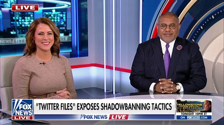 Erin Perrine on Twitter Files: Republicans are ‘owed’ an apology