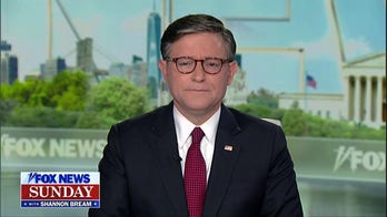 Speaker Johnson calls out Democrats over shutdown standoff: 'Art of distraction'