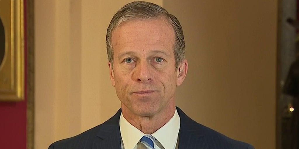 Sen. Thune Calls For Swift And Bold Action To Provide Relief To US ...