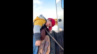 Little lad  successful  Texas takes nap connected  the backmost  of his pony - Fox News