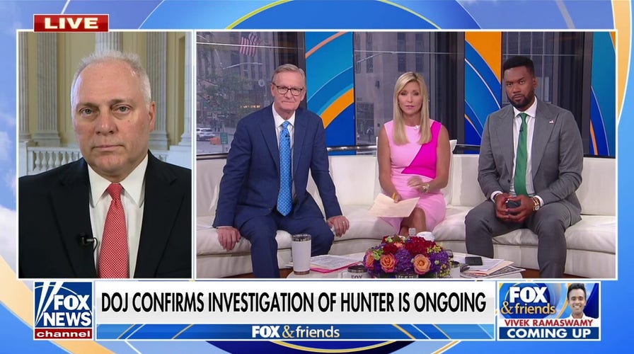 Steve Scalise: Hunter Biden shouldn't get sweetheart deal because of his last name