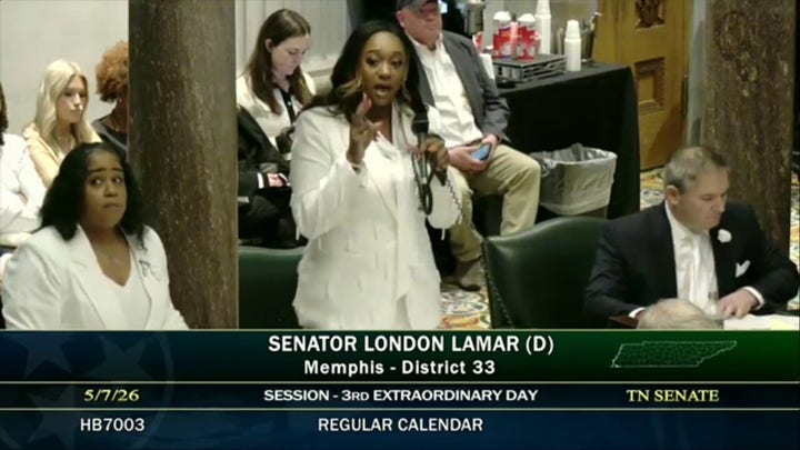‘This is how democracy dies’: Tennessee Dem blasts new map