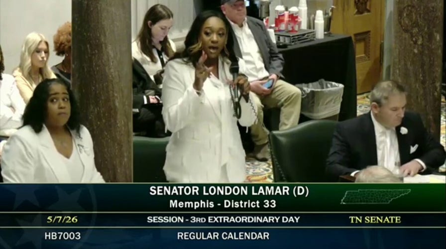 ‘This is how democracy dies’: Tennessee Dem blasts new map